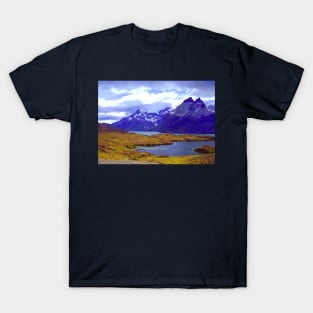 Lagoa Pehoe Torres del Paine T-Shirt